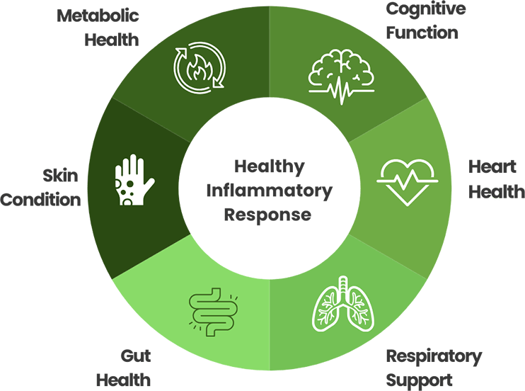 Healthy Inflammatory Response